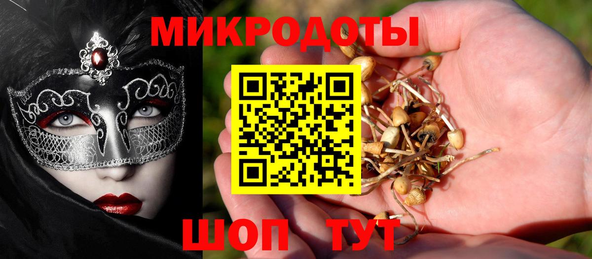 Галлюциногенные грибы Psilocybe  где продают   Донецк  Вход с VPN 