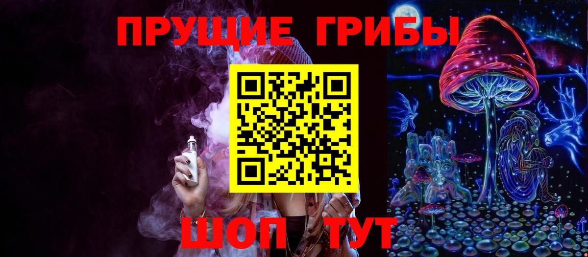 Псилоцибиновые грибы Psilocybine cubensis Донецк